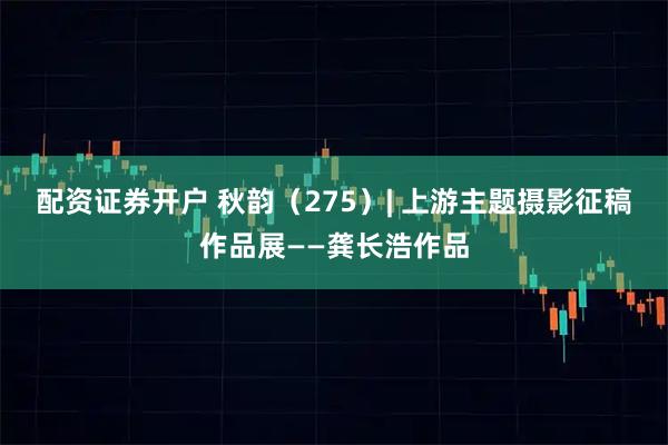 配资证券开户 秋韵（275）| 上游主题摄影征稿作品展——龚长浩作品